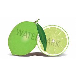 Lime