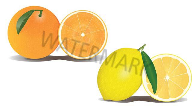 Citrus Fruit